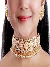 Timeless Elegance Choker Necklace set - Aanya